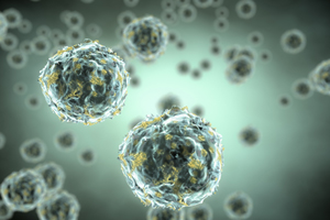 The War on Germs: Are We Winning? Should we be?